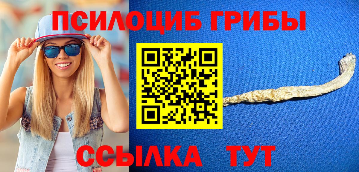Псилоцибиновые грибы мухоморы  Вход с VPN  Зима 